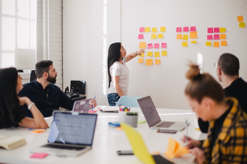 Consultation & Audit